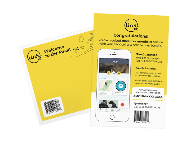 alternatives new york new york branding interaction design akc customer service