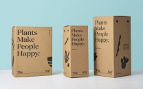 Direct-To-Consumer Packaging
