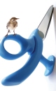 "Birdy" Designer Scissors