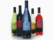 WineHaven Packaging System