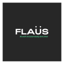 FLAUS- electric flosser