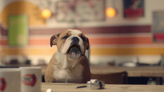 Talking Animal VFX // ‘Dog Cafe’, Association of British Insurers