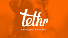 Tethr: GPS Dog Tag