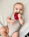 RaZberry Bites Teething Toy