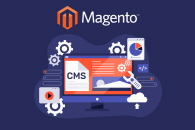 Magento Development Services