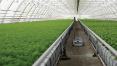 Greenhouse Robot