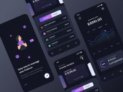 Best Fintech App UI Design