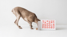 Human grade, freshly cooked dog food right to your door.