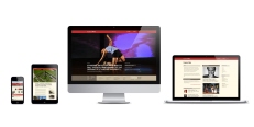 Stanford Arts brand + website development