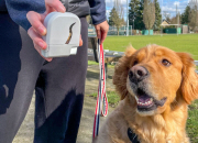 The EZ Treat: All Your Dog Treat Carriers in One