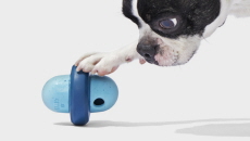 Pivot Wobble Dog Toy