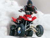 ARCTIC CAT | dvx atv