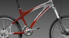 Energy 5.0 Flex Carbon Mountain Bike